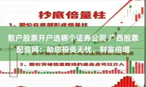 散户股票开户选哪个证券公司 广西股票配资网:助您投资无忧,财富倍增