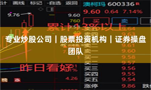 专业炒股公司｜股票投资机构｜证券操盘团队