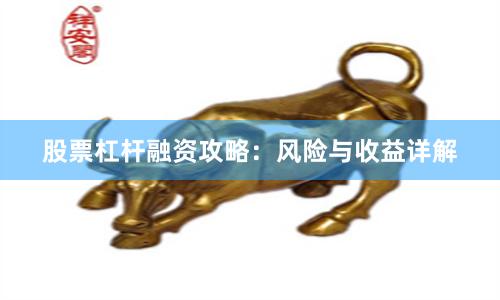 股票杠杆融资攻略：风险与收益详解